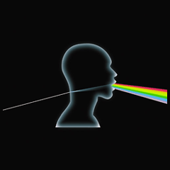 Dark Side of the Moon A Cappella CD